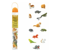 12 Animaux Familiers Dans Un Tube De Rangement