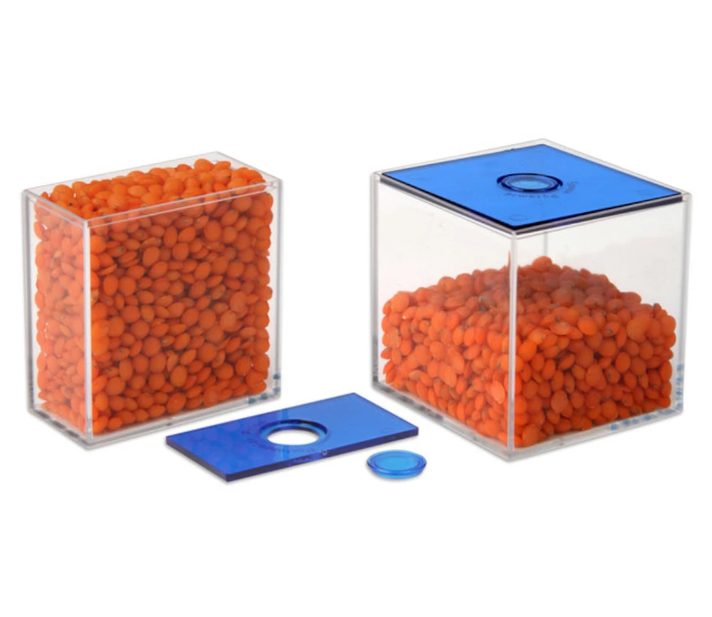 17 Volumes Géométriques Plastique Translucide 5.6 Cm - Solides à Remplir – Image 3