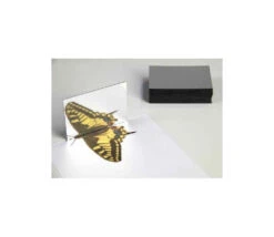 25 Mini Miroirs 8.7 X 6.2 Cm En Plastique