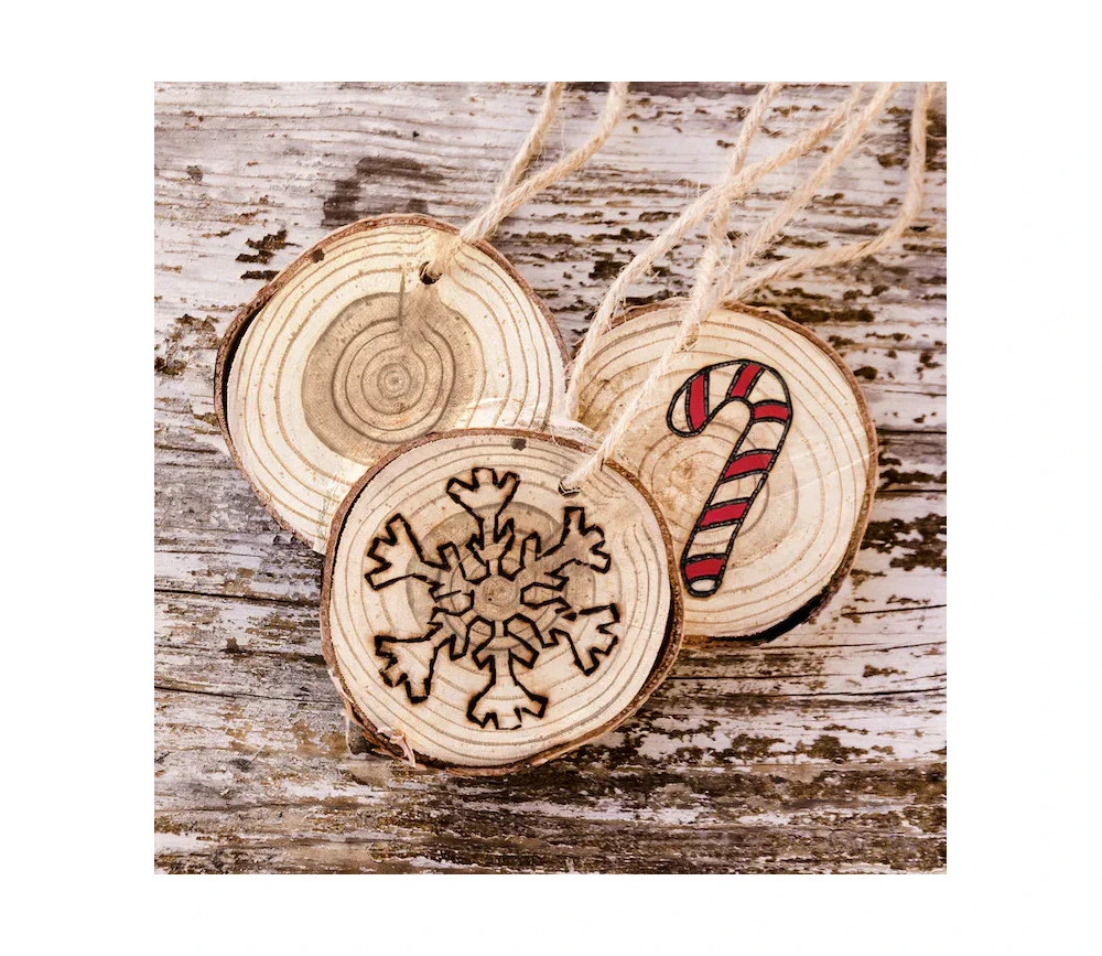 50 Rondelles Bois Brut Avec écorce – Image 2