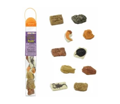 Anciens Fossiles 4/5 Cm - Paléontologie 10 Pièces