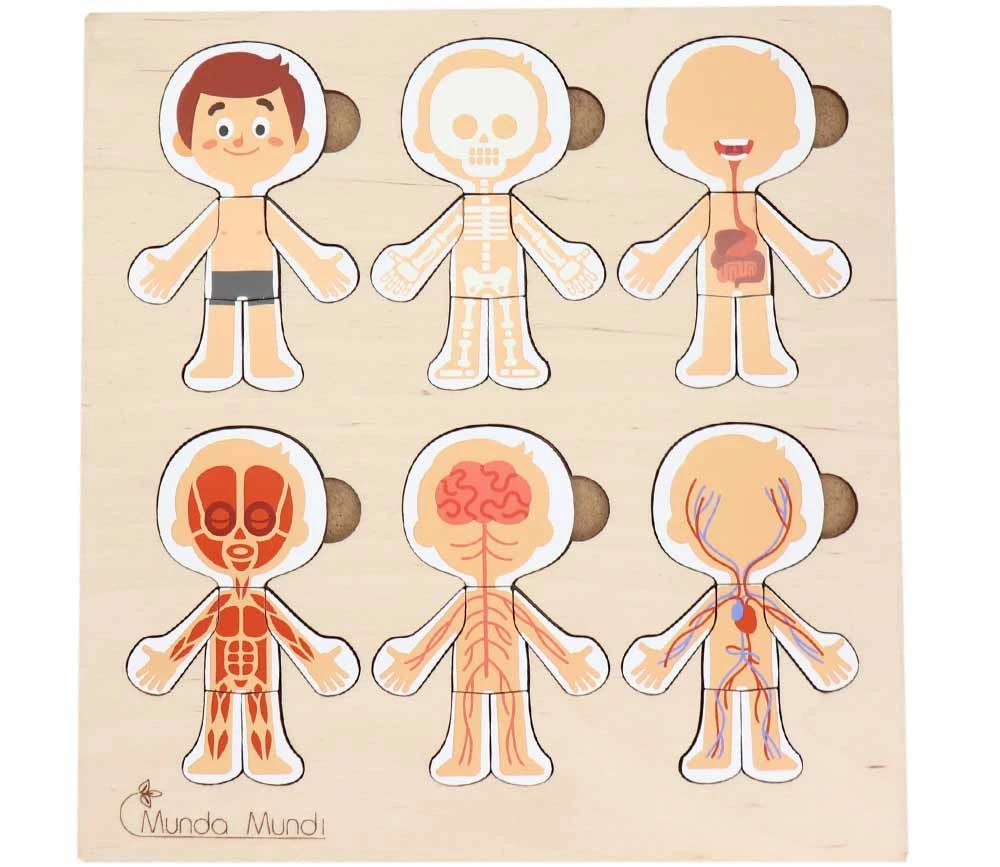 Corps Humain Découverte : 6 Mini Puzzles Bois – Image 2
