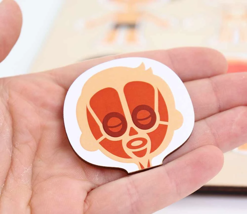 Corps Humain Découverte : 6 Mini Puzzles Bois – Image 3