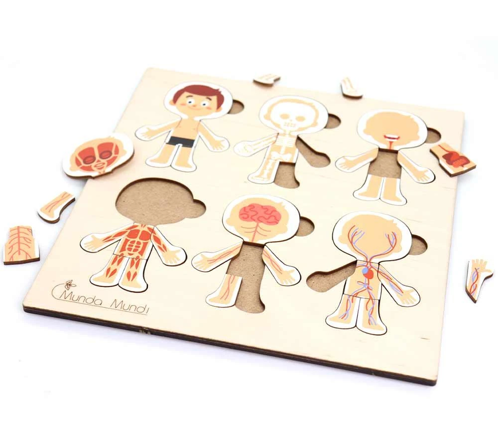 Corps Humain Découverte : 6 Mini Puzzles Bois – Image 5