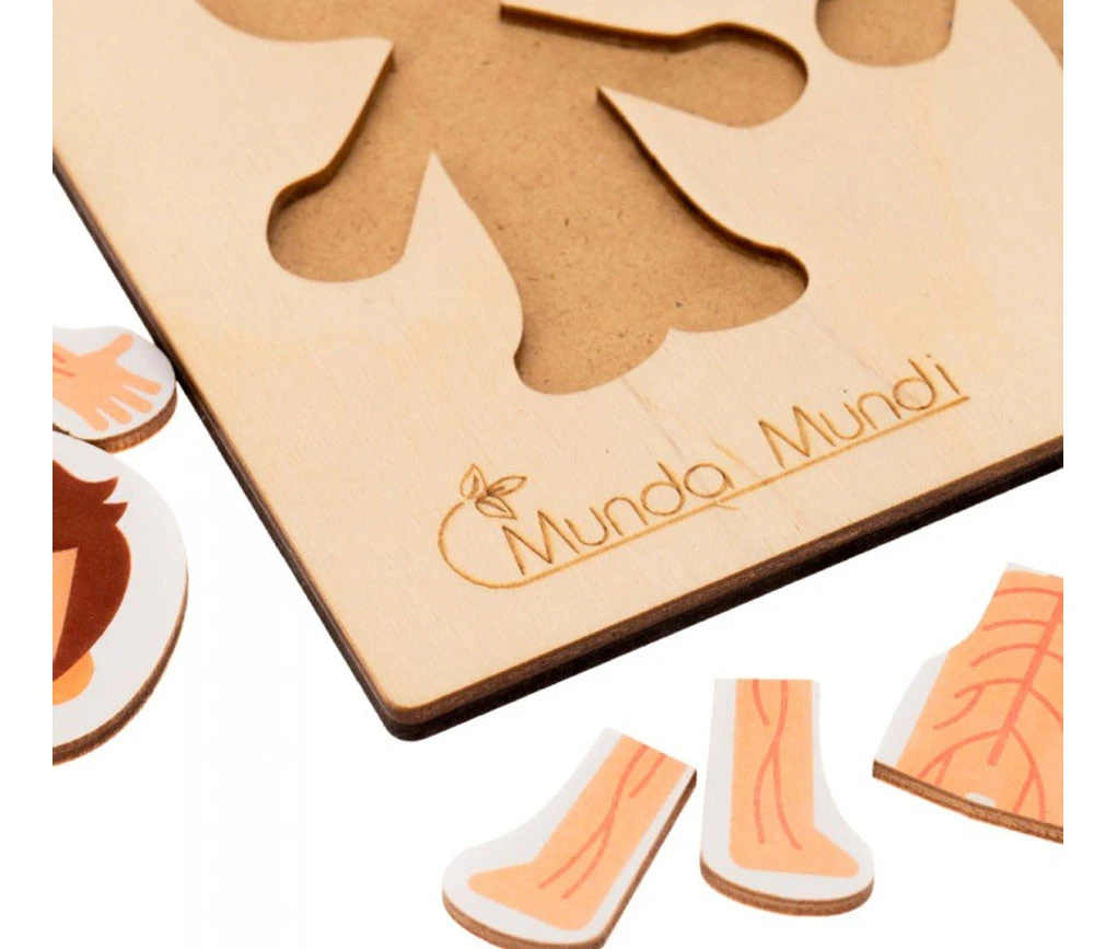 Corps Humain Découverte : 6 Mini Puzzles Bois – Image 8