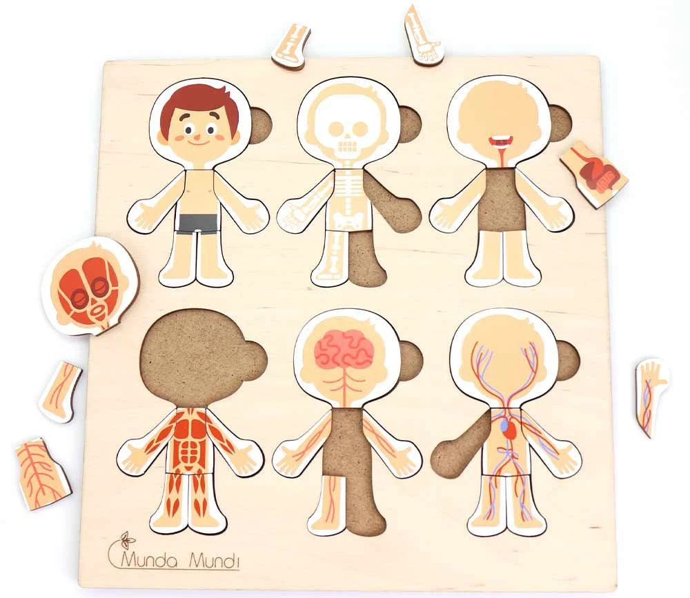 Corps Humain Découverte : 6 Mini Puzzles Bois
