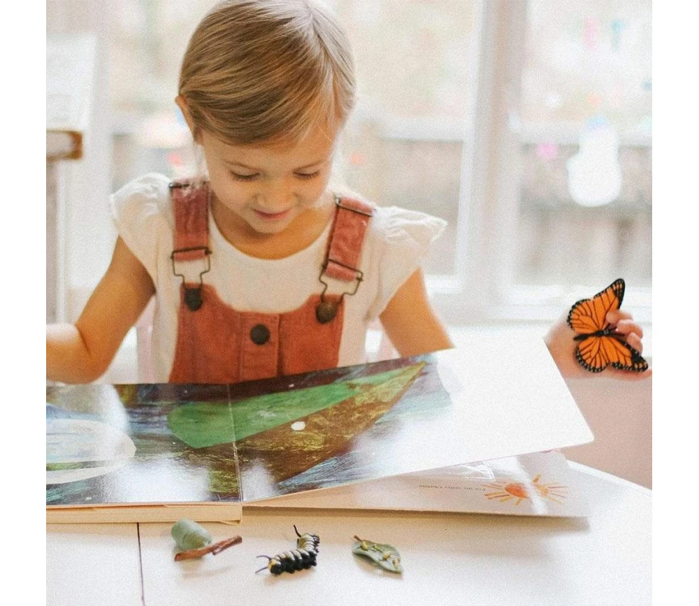 Cycle De La Vie D'un Papillon Monarque – Image 5