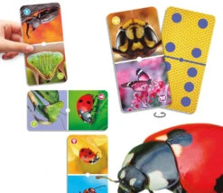 Domino Nature : Insectes