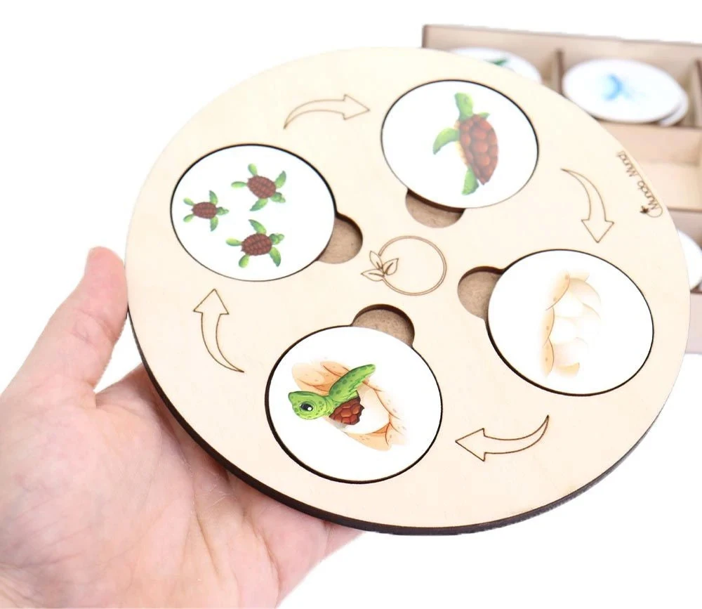 Jeu Découverte 9 Cycles De Vie Tout En Bois – Image 2