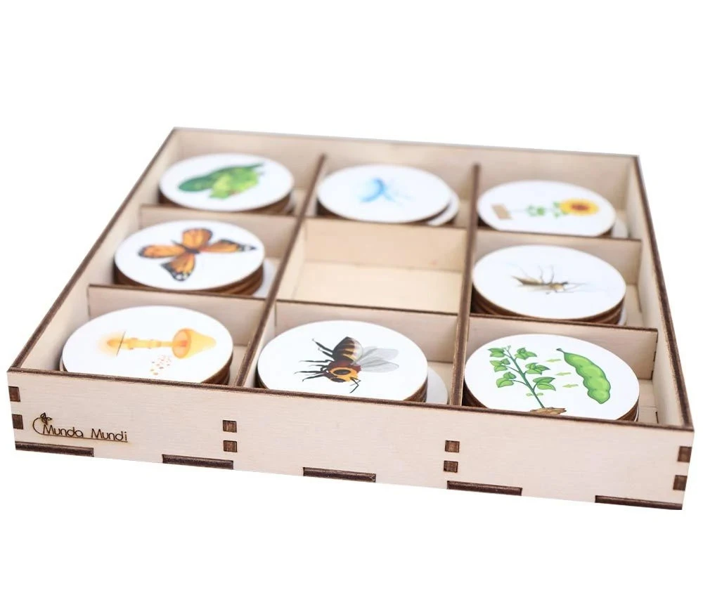 Jeu Découverte 9 Cycles De Vie Tout En Bois – Image 3