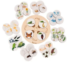 Jeu Découverte 9 Cycles De Vie Tout En Bois