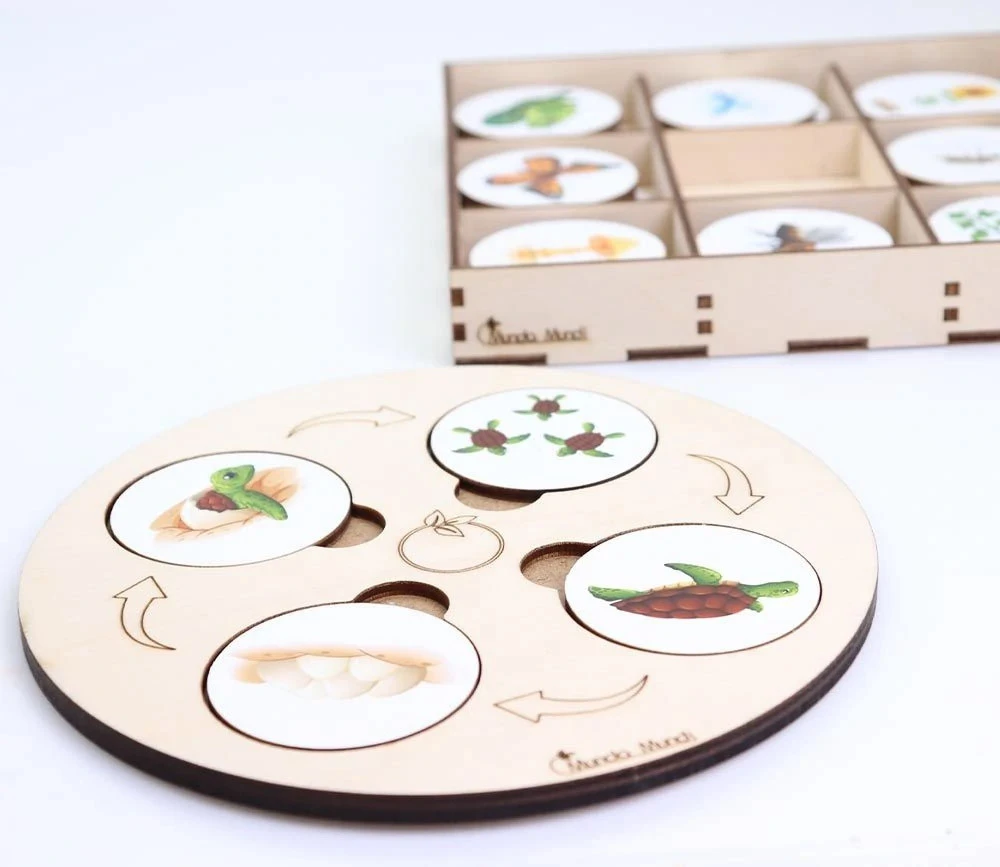 Jeu Découverte 9 Cycles De Vie Tout En Bois – Image 4