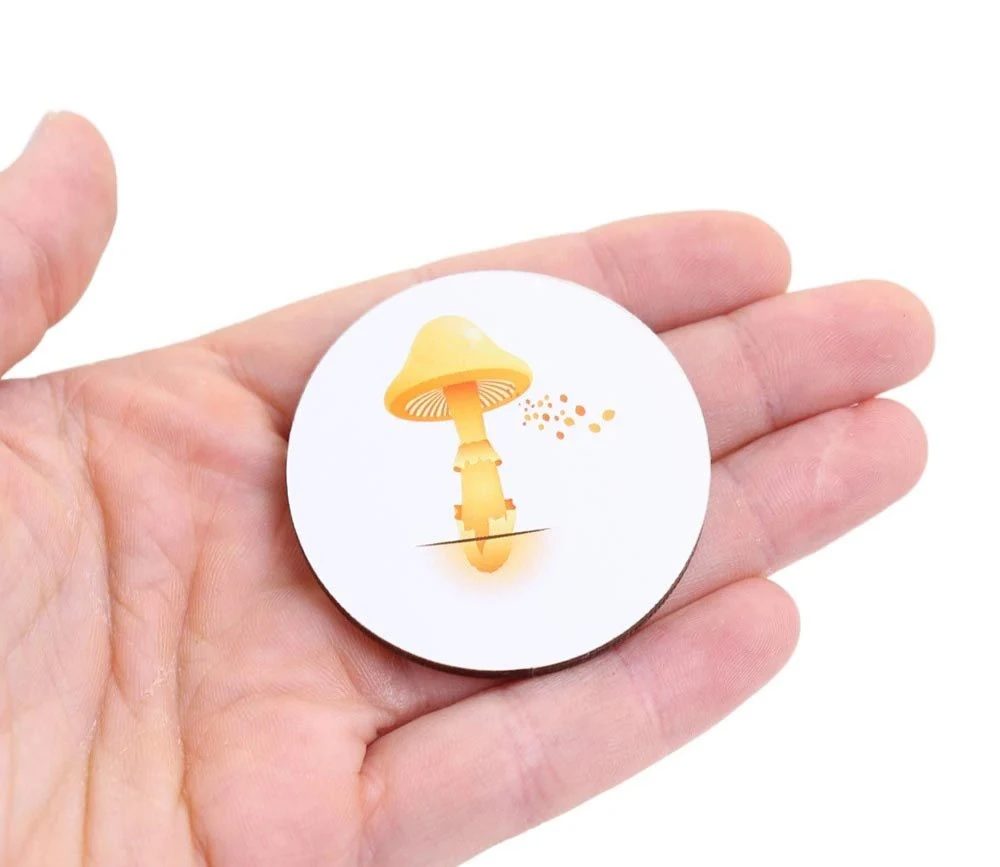 Jeu Découverte 9 Cycles De Vie Tout En Bois – Image 5