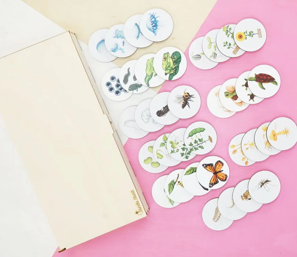 Jeu Découverte 9 Cycles De Vie Tout En Bois – Image 7