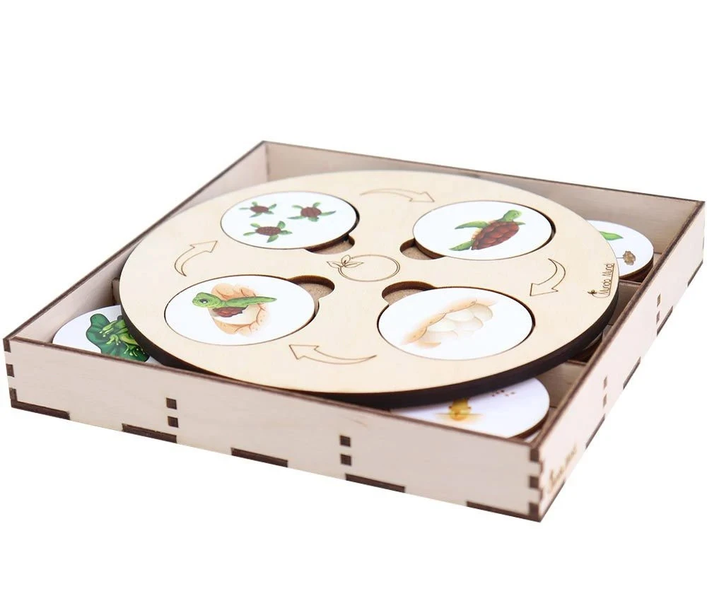 Jeu Découverte 9 Cycles De Vie Tout En Bois – Image 8