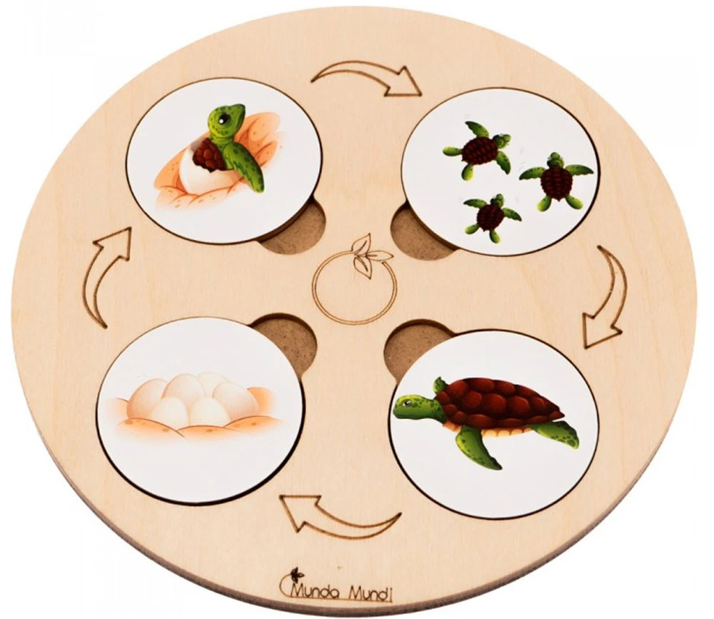 Jeu Découverte 9 Cycles De Vie Tout En Bois – Image 10