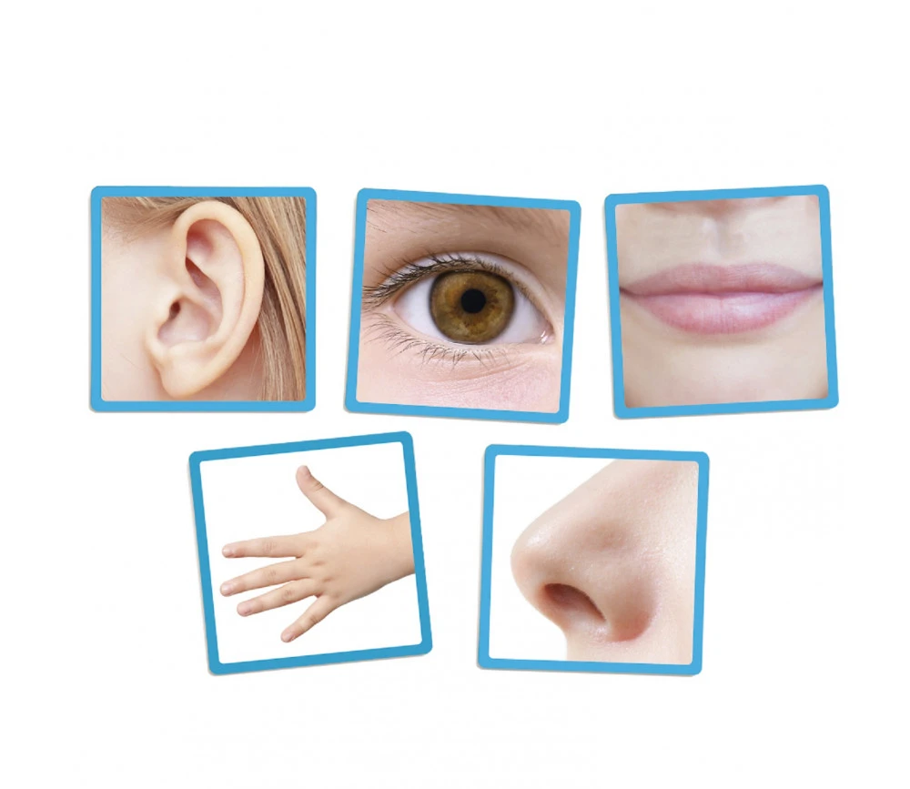 Jeu Les 5 Sens – Image 2