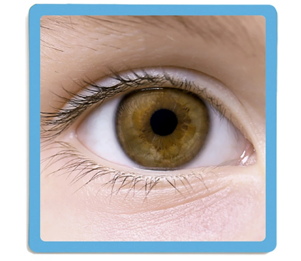 Jeu Les 5 Sens – Image 4