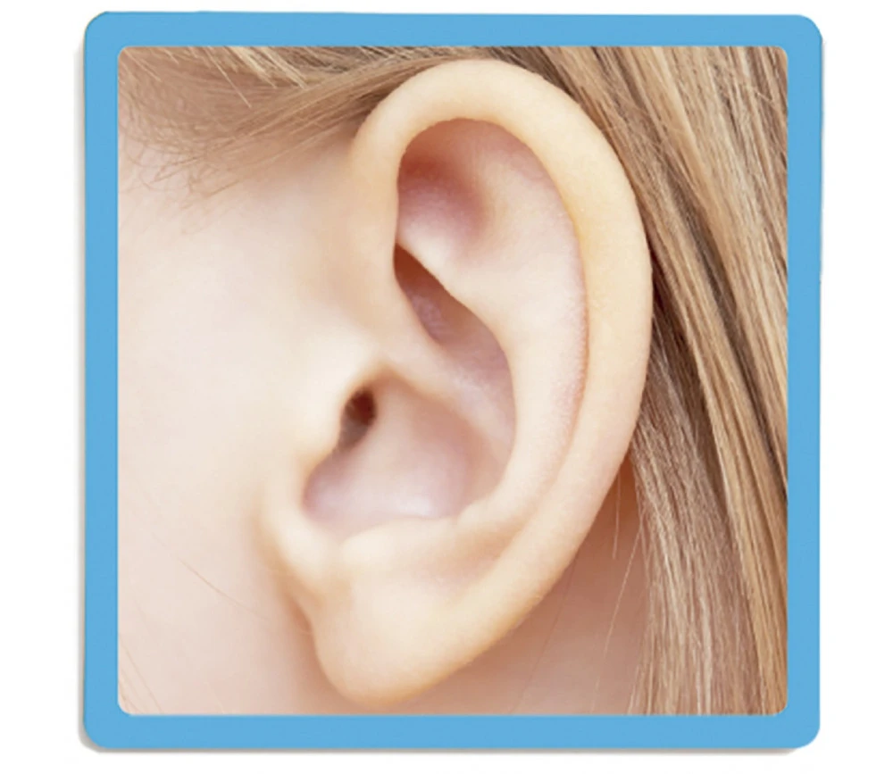 Jeu Les 5 Sens – Image 7