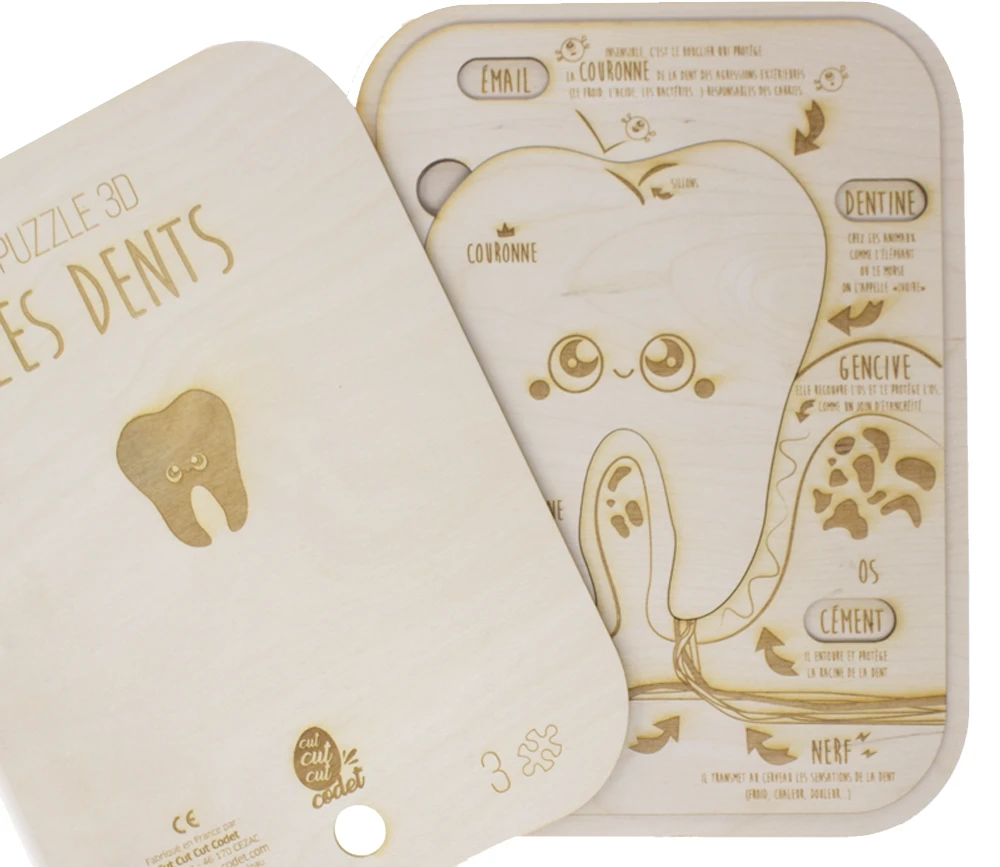 Puzzle éducatif En Bois - Les Dents