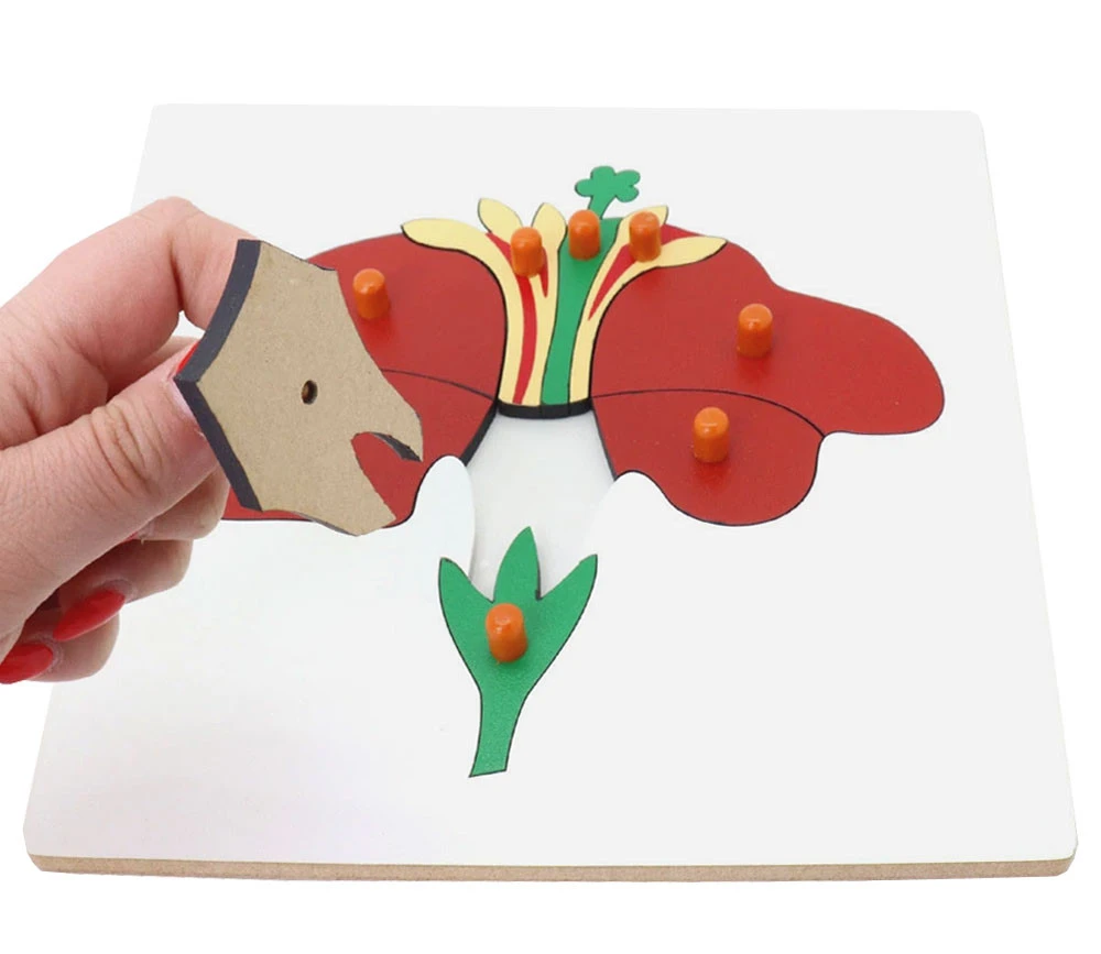 Puzzle En Bois Fleur - 9 Pièces à Boutons à Encastrer – Image 2