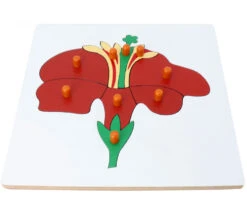 Puzzle En Bois Fleur - 9 Pièces à Boutons à Encastrer