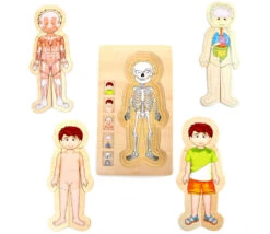 Puzzles Anatomie Garçon - 4 Puzzles à étage