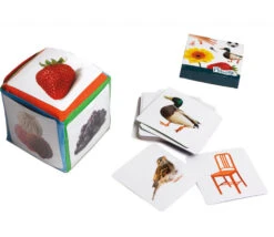 Dé Des Premiers Mots 15 Cm (60 Images)