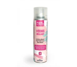 Verni Brillant En Spray 250 Ml - Loisirs Créatifs
